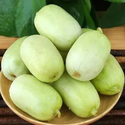 Golden Lady Cucumber